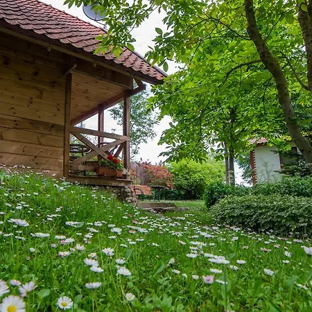 Marina Bajana * Mikołajki