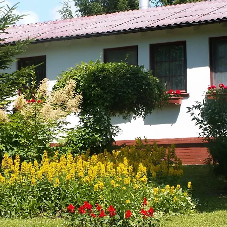 Marina Bajana * Mikołajki