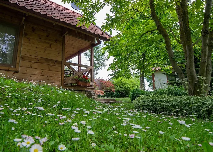 Marina Bajana * Mikołajki